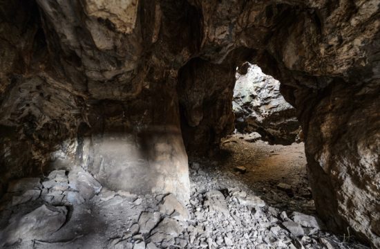 Homo naledi an early human ancestor